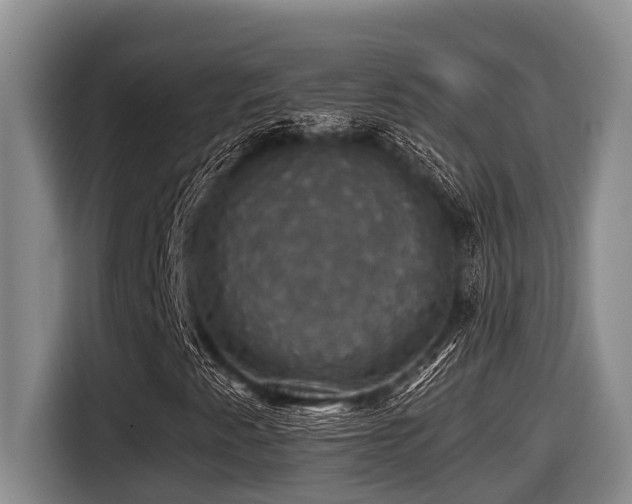 X0000116451345200912081609