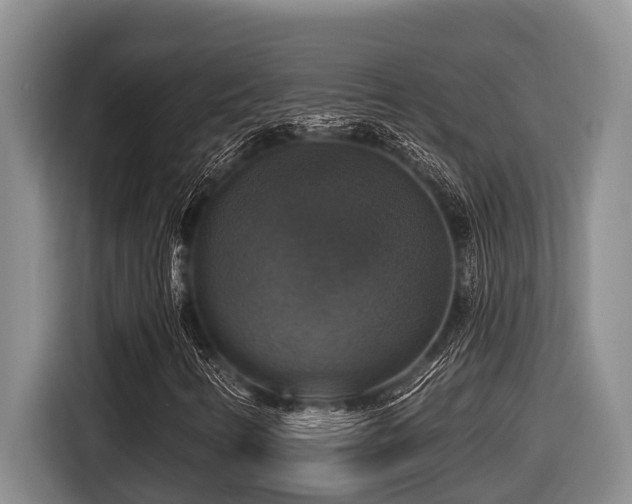 X0000116451346200912081609