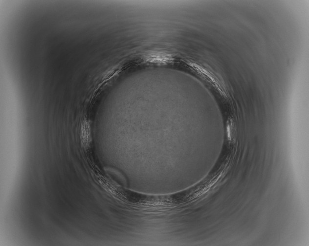 X0000116451347200912081609