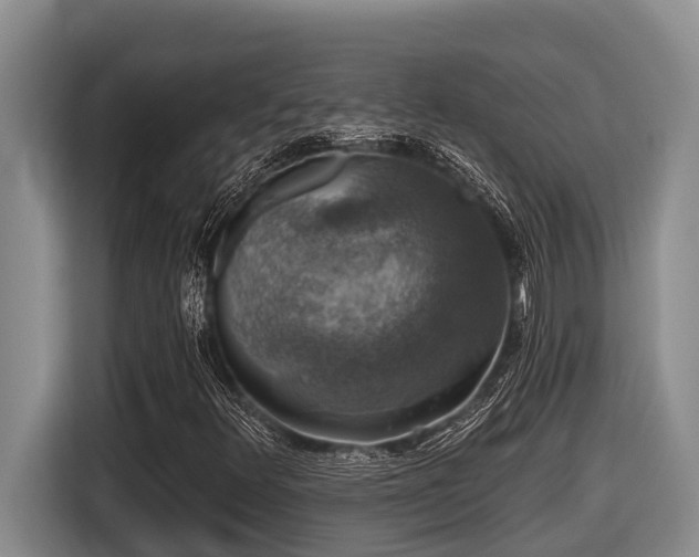 X0000116451348200912081609