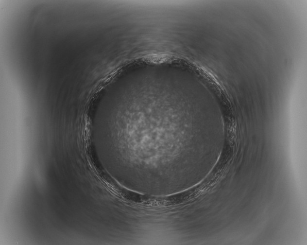 X0000116451349200912081609