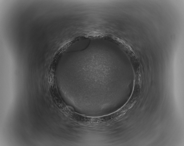 X0000116451350200912081609
