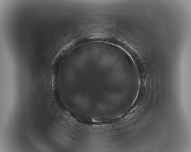 X0000116451351200912081609