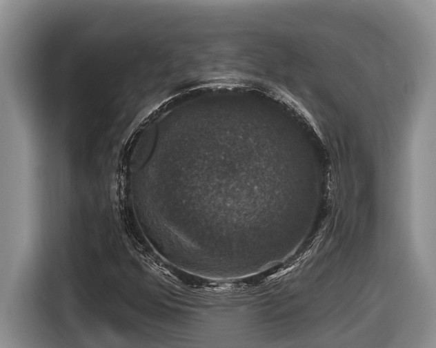 X0000116451352200912081609