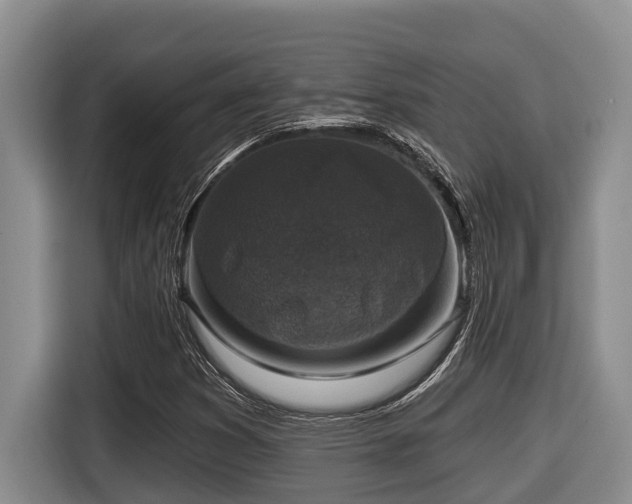 X0000116451353200912081609