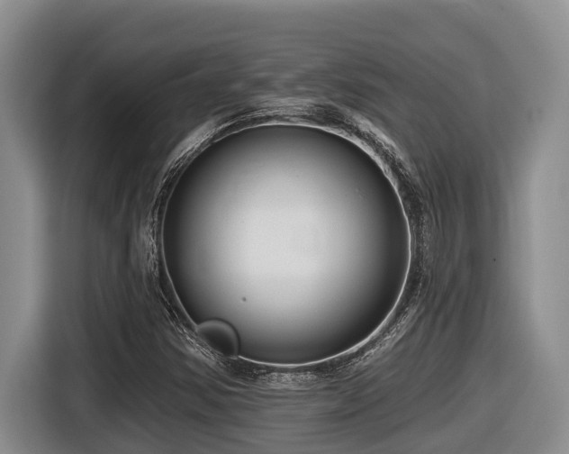 X0000116451354200912081609