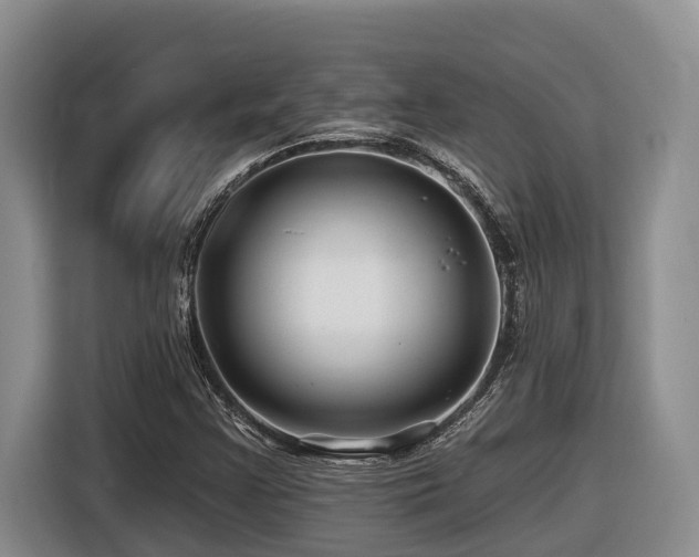 X0000116451355200912081609