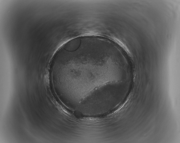 X0000116451356200912081609