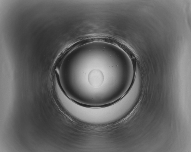 X0000116451357200912081609