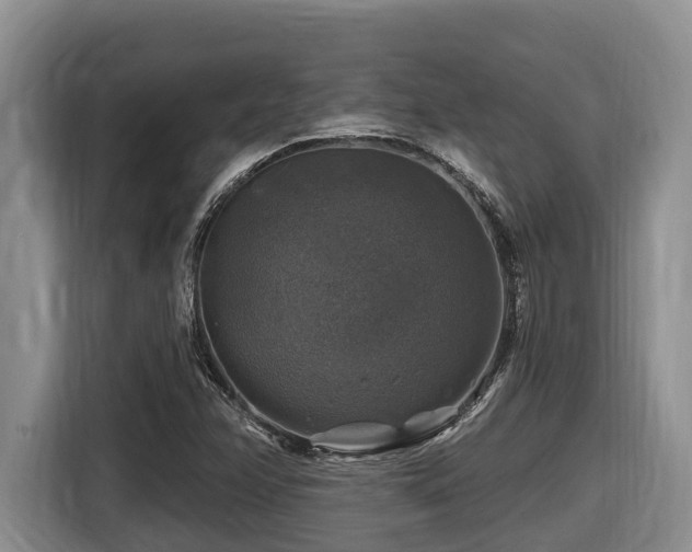 X0000116451358200912081609