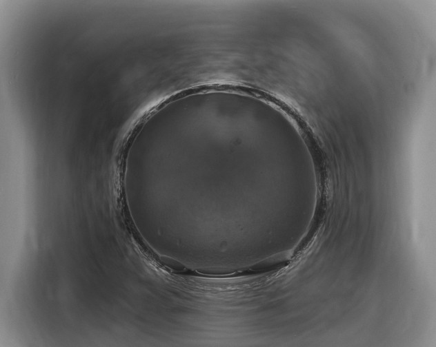 X0000116451359200912081609