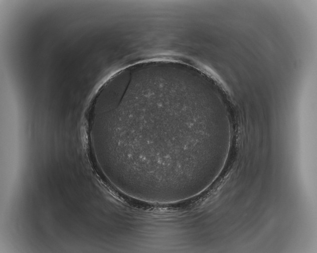 X0000116451360200912081609