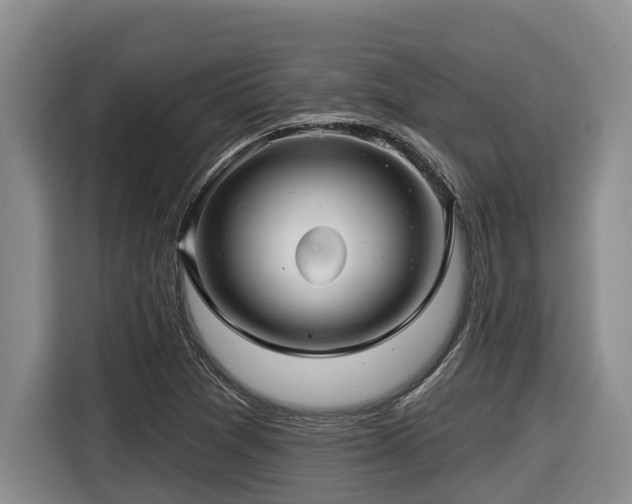 X0000116451361200912081609