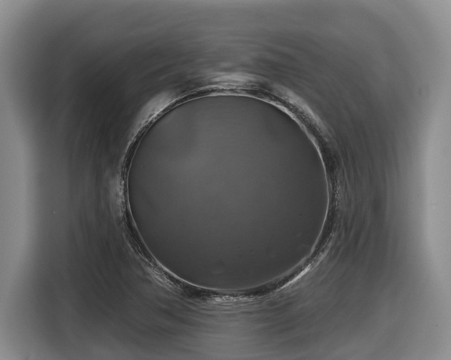 X0000116451362200912081609