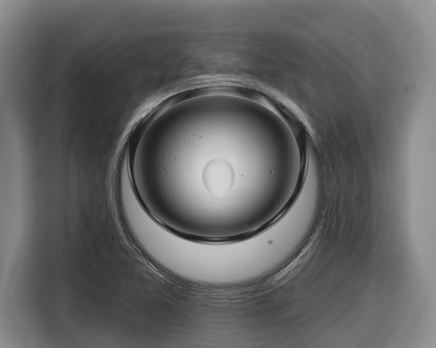 X0000116451365200912081609