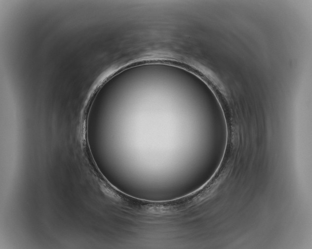 X0000116451366200912081609