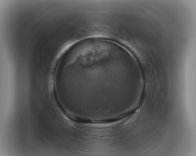 X0000116451367200912081609