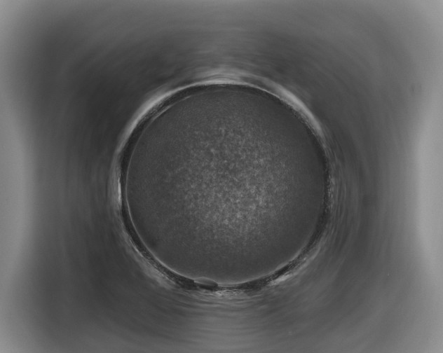 X0000116451368200912081609