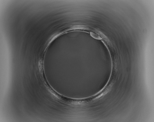 X0000116451369200912081609