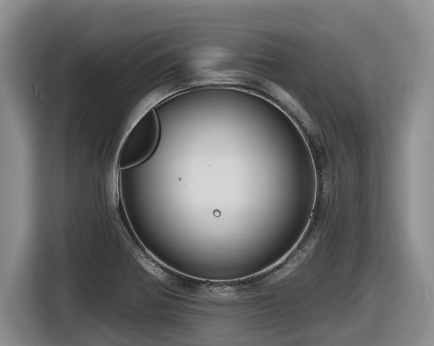 X0000116451370200912081609