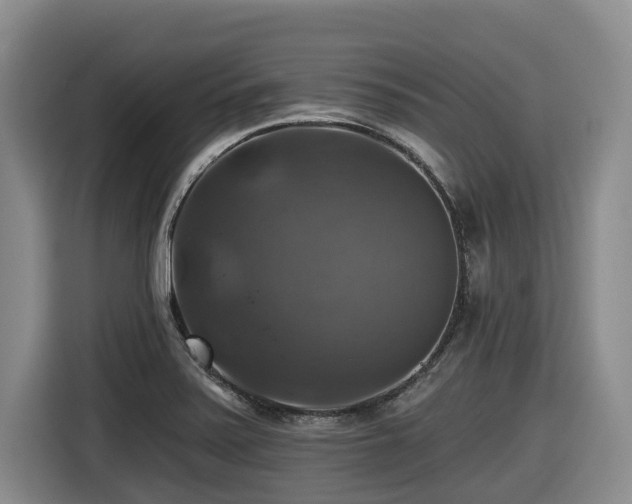 X0000116451371200912081609