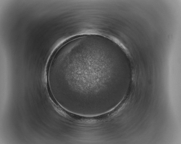 X0000116451372200912081609