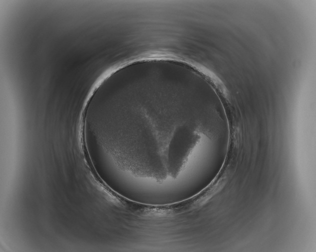 X0000116451374200912081609