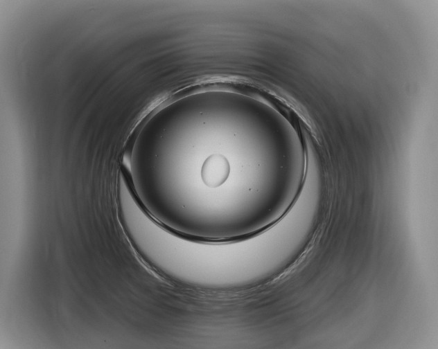 X0000116451377200912081609