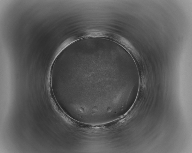 X0000116451378200912081609