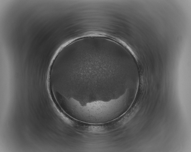 X0000116451379200912081609