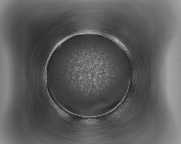 X0000116451380200912081609