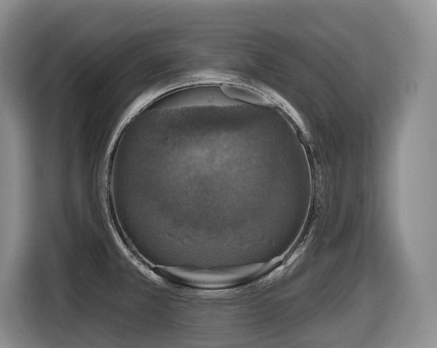 X0000116451381200912081609