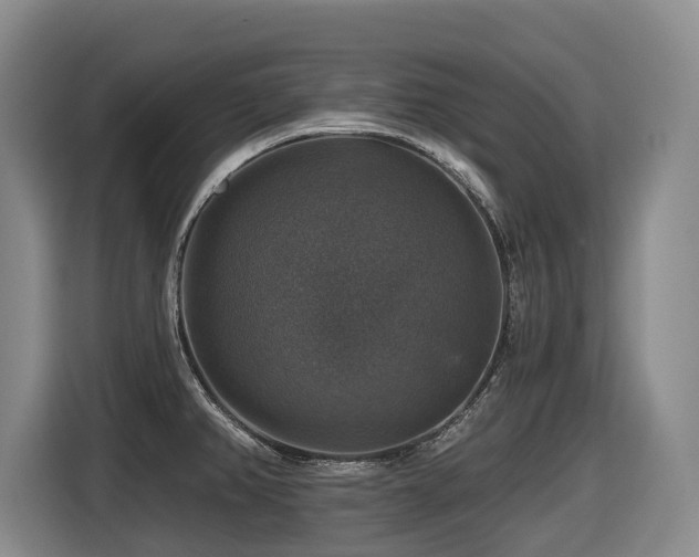 X0000116451382200912081609