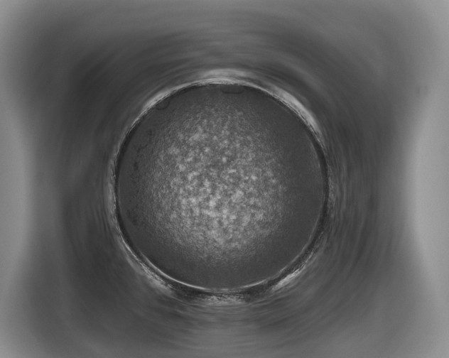 X0000116451384200912081609