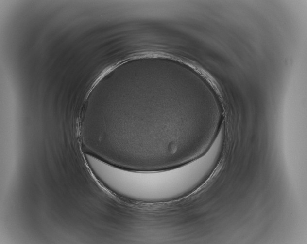 X0000116451385200912081609