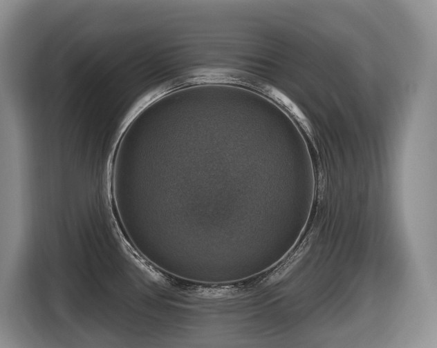 X0000116451386200912081609