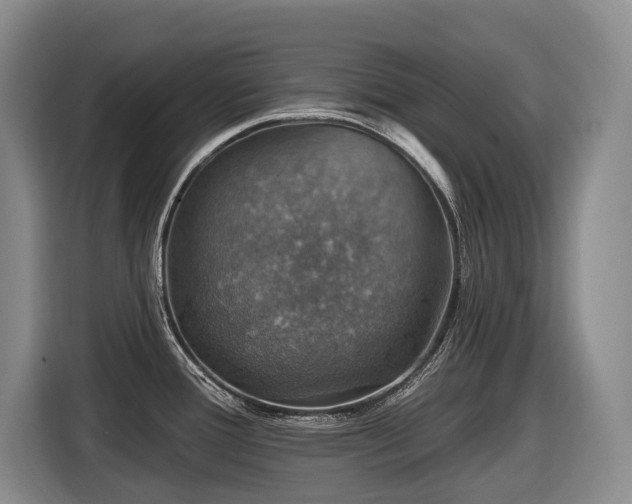 X0000116451388200912081609