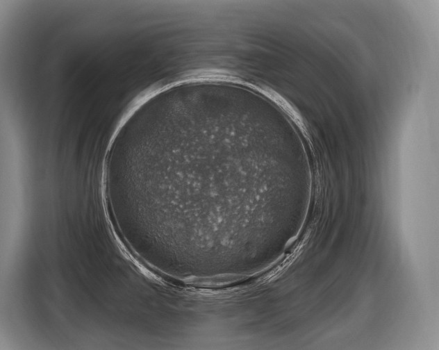 X0000116451390200912081609