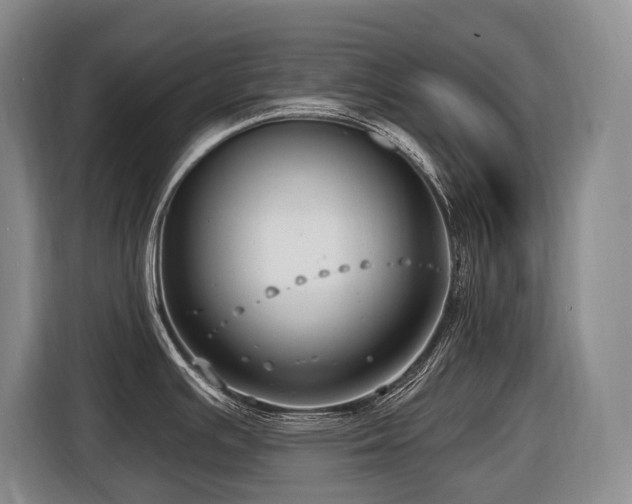 X0000116451391200912081609