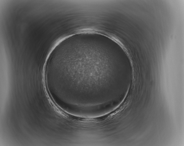 X0000116451392200912081608