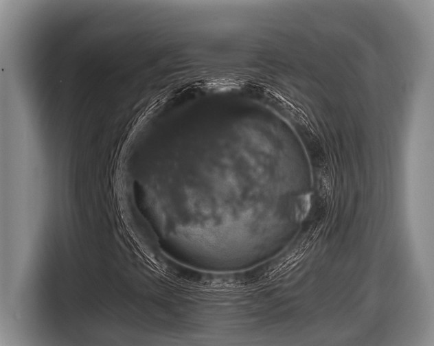 X0000116451393200912081608