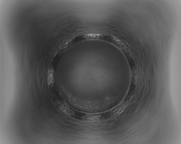 X0000116451394200912081608