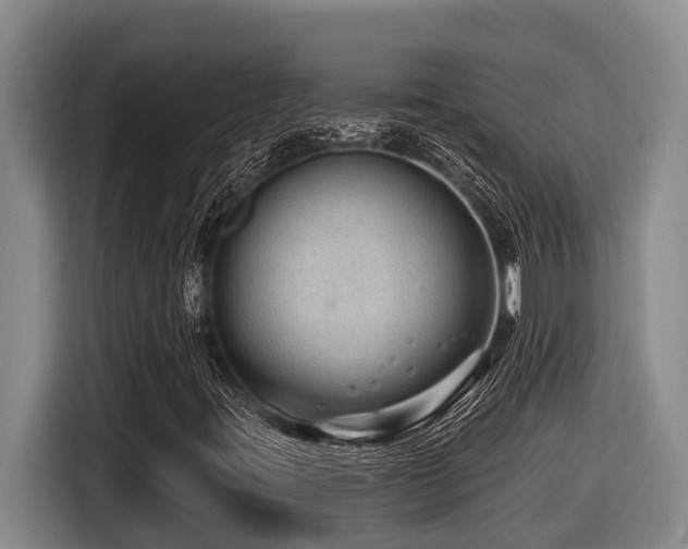 X0000116451395200912081608