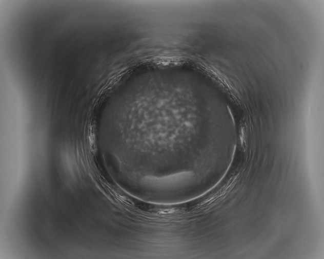 X0000116451396200912081608