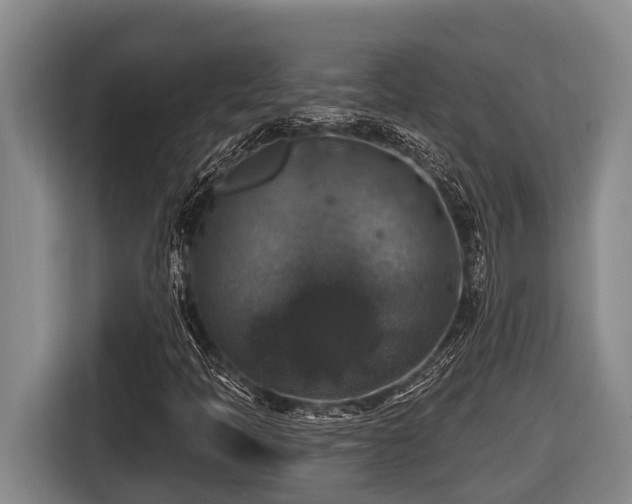 X0000116451397200912081608