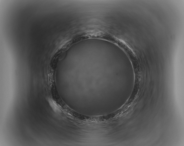 X0000116451399200912081608