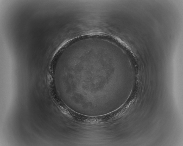 X0000116451400200912081608