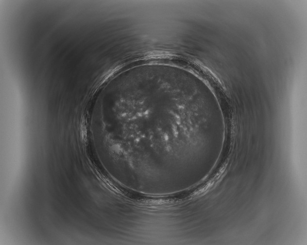 X0000116451401200912081608