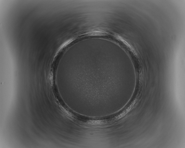 X0000116451402200912081608