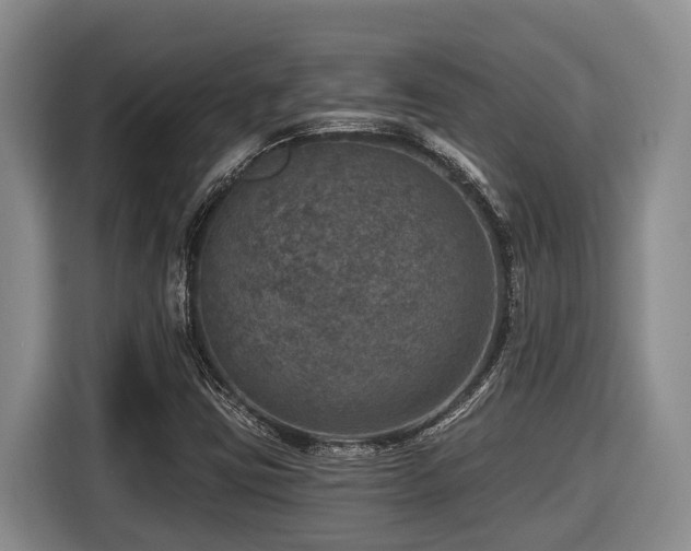 X0000116451403200912081608
